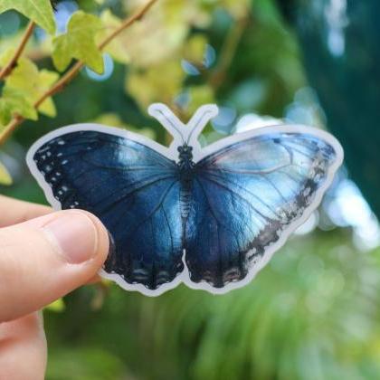 Butterfly mirror vinyl sticker, blu..
