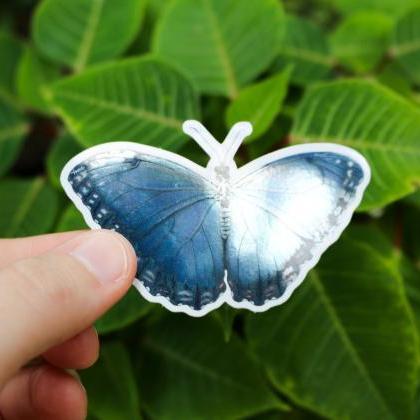 Butterfly mirror vinyl sticker, blu..