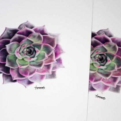 Purple Succulent A4 Drawing Print, ..
