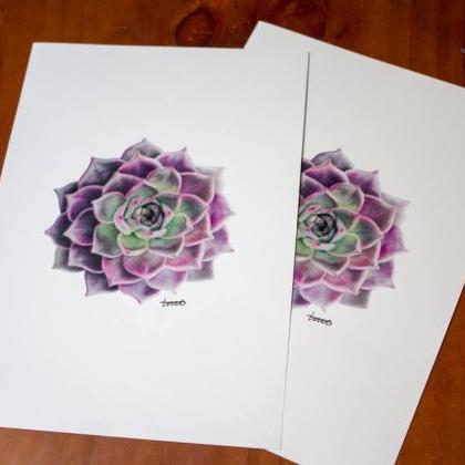 Purple Succulent A4 Drawing Print, ..