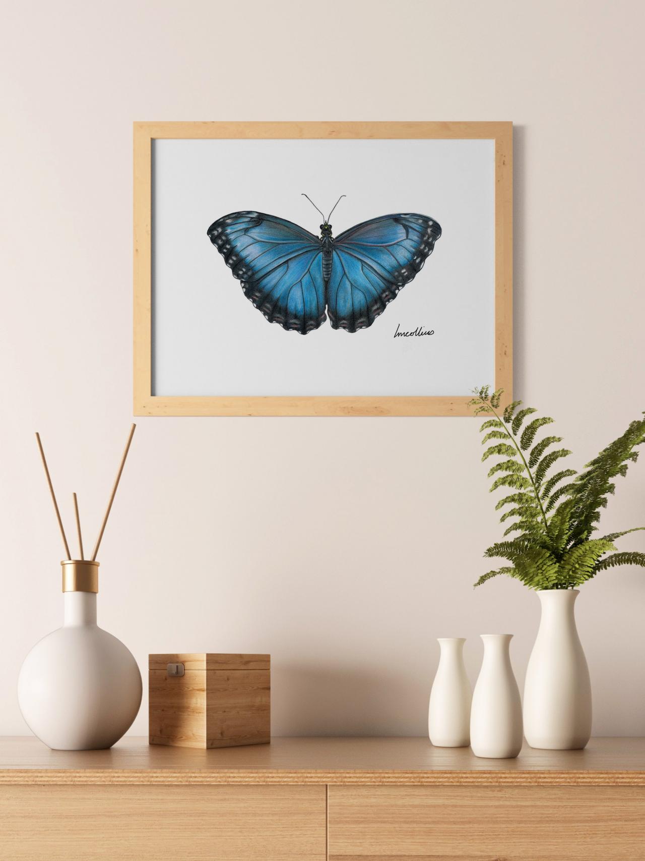 Butterfly Drawing A5 Print, Hand Drawn, Blue Morpho Butterfly, Art Print, Home Decor, Gift For Her, Housewarming Gift, Made In Australia